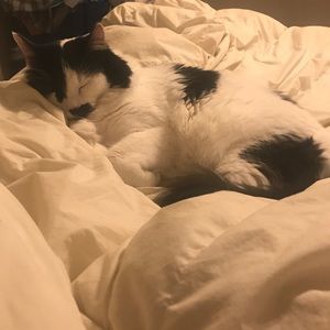 Meet your Posher, Hillary